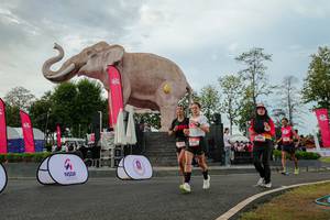 BIB: 
                            <button type="button" onclick="openModal(26528642)" class="btn btn-primary btn-sm float-right btn-popup" data-toggle="modal" data-target=".modal-high-quality">
                        <i class="fas fa-shopping-cart"></i> Add to Cart
                    </button>
                                            <button type="button" onclick="isThisMe(26528642, true)" class="btn btn-success btn-sm float-right btn-popup btn-isme hidden" data-toggle="tooltip" data-placement="bottom" title="นี่คือรูปของคุณใช่ไหม คลิกที่นี่เพื่อเอาเข้าอัลบั้ม">
                        <i class="fas fa-plus"></i> Add to album
                    </button>
                    <button type="button" onclick="isThisMe(26528642, false)" class="btn btn-warning btn-sm float-right btn-popup btn-isnotme hidden">
                        <i class="fas fa-ban"></i> Remove from album
                    </button>